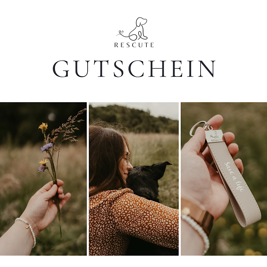 Wertgutschein