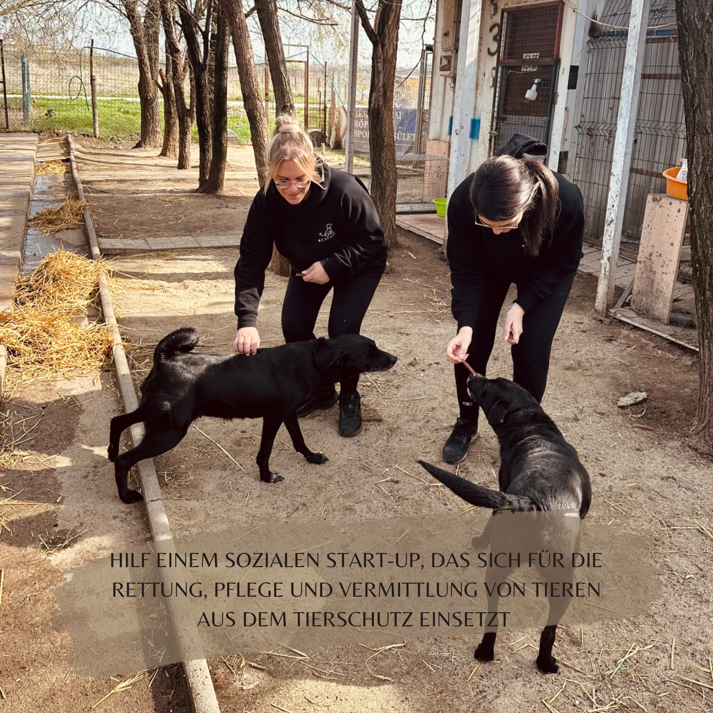 Schlüsselzauber - Hunde MAMA rosa